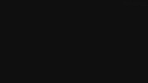 9116