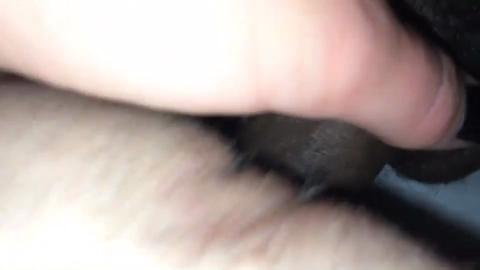 45591