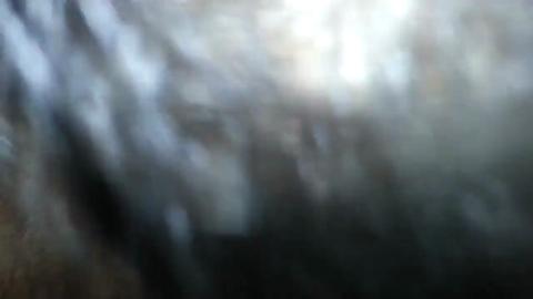21501