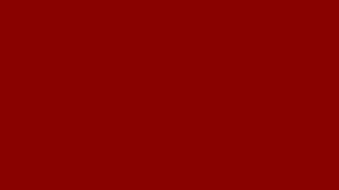 24831