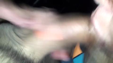 11718
