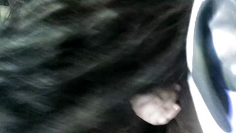 27688