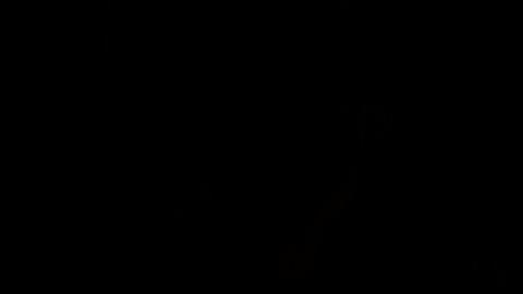 20051