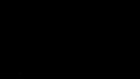 800