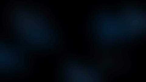 11292